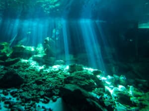 cenotes • The KKIS Project