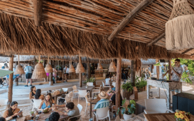 ¡5 increíbles restaurantes en Playa del Carmen que los expatriados adoran!