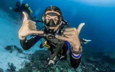 5 Best Scuba Diving Shops in Playa del Carmen